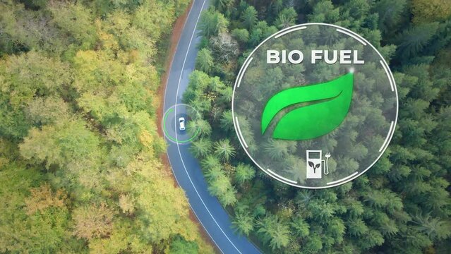 Biofuel Car Driving On The Road Amid Forest - Biodiesel Concept. - aerial, graphics
