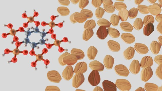 3d rendering of Phytate, also known as phytic acid It's found in seeds, nuts, legumes, and unprocessed whole grains