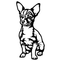 Puppy Corgi - Dog Breed, Funny dog Vector File, detailed vector