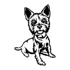 Funny Yorkshire Terrier - Dog Breed, Funny dog Vector File, detailed vector