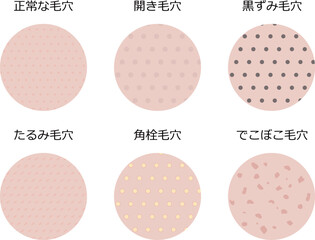 肌表面から見た毛穴のイラストセット
