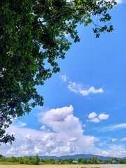 Obraz premium The picture shows a bright daytime sky with white clouds and a green tree in the left hand corner sticking out.