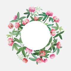 Flowers - Pink Clover on the light background. Summer illustration. Frame
