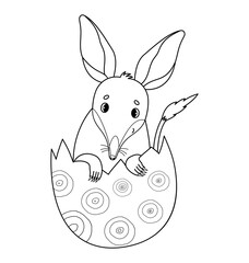 Cute Easter bilby in egg. Australian animal. Linear, outline drawing, coloring book. Kids collection. Vector illustration.