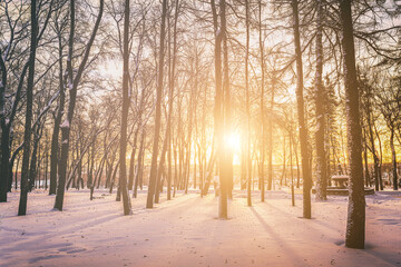 Sunset or dawn in a winter city park with trees, benches and sidewalks covered with snow and ice....