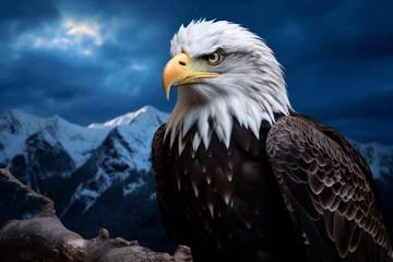 Foto op Plexiglas american bald eagle on a branch © ansha