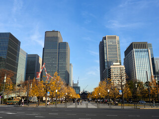 秋の東京都の都心の高層ビルとイチョウの木の黄色い葉っぱと東京駅の風景 - obrazy, fototapety, plakaty