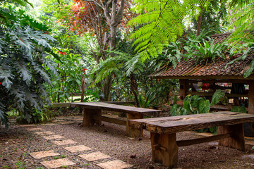 Outdoor seating area with wooden table in tropical garden