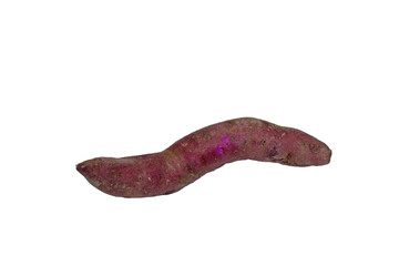 A purple potato,  healthy vegetable that regulates blood sugars and blood pressure and also contains antioxidants against cancer