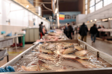 A Vibrant Display of Fresh Fish on a Busy Conveyor Belt at Obor Fisher Market - obrazy, fototapety, plakaty