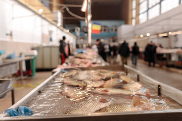 A Conveyor Belt Filled with an Abundance of Fish - obrazy, fototapety, plakaty