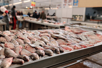 A Table Full of Colorful Fish