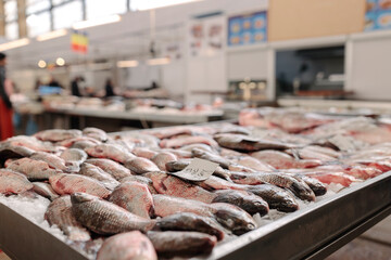 A Colorful Array of Fresh Fish on a Rustic Wooden Table