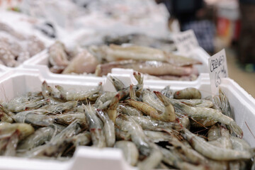 Group of Fresh Shrimps in a Vibrant Market