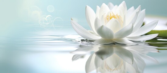 A beautiful white flower is delicately placed on a water-inspired background, creating an elegant...