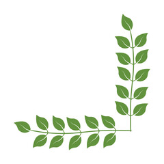 Green Leafy Corner Divider