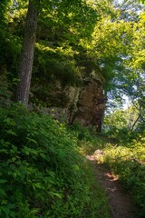Lake Vesuvius Trail at Wayne National Forest in Ohio