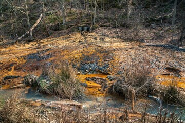 Coal Mining Toxic Sludge Creeping up from the Ground in the Wayne National Forest in Ohio