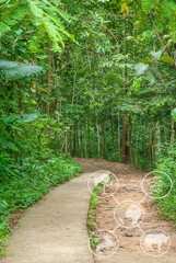 Fototapete bei efototapeten.de bestellen   