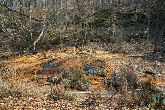 Coal Mining Toxic Sludge Creeping up from the Ground in the Wayne National Forest in Ohio