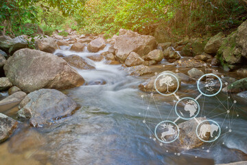 Fototapete bei efototapeten.de bestellen   