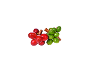  coffee beans transparent png