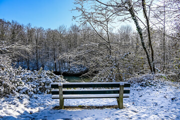 Münchenstein, Wald, Waldweg, Auwald, Laubbäume, Birs, Birstal, Baselland, Winter, Winterlandschaft, Winterspaziergang, Eis, Schnee, Wanderweg, Holzbank, Parkbank, Schweiz 