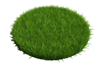 Round surface covered with green grass