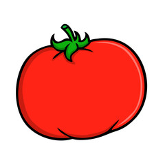 tomato vector illustration