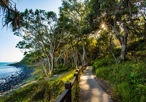 The view of the Noosa Coastal Walk under the sunshine in the morning