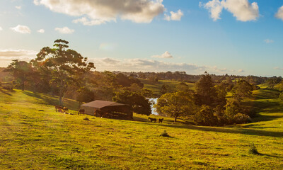 The view of the farm house and meadow in a valley in regional Queensland in the dusk