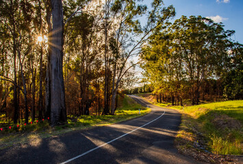 The view of the country road in regional Queensland in the afternoon sunshine - obrazy, fototapety, plakaty