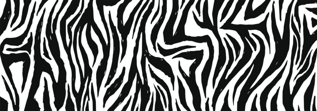 Zebra fur  - stripe skin, animal pattern. Hand drawn texture. Black and white background. Graphic print. Vector