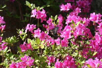 자연 경관에 대한 사진 nature