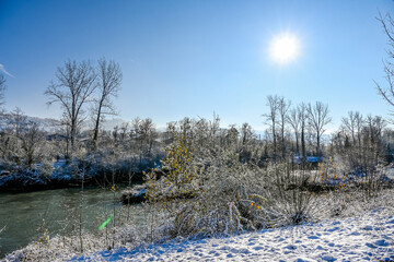 Reinach, Münchenstein, Birs, Fluss, Birstal, Baselland, Arlesheim, Wald, Waldweg, Auwald, Uferweg,...