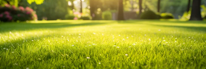 Tuinposter Weide close up of green grass with blurred garden background