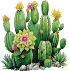 Raamstickers Cactus Watercolor cactus on white background