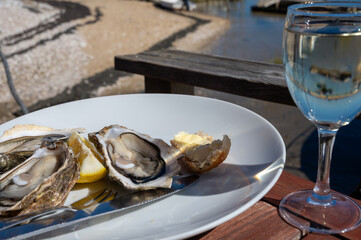 Eating of fresh live oysters with glass of white wine at farm cafe in oyster-farming village, with...