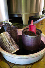 Harvesting works, fermentation of pressed grapes juice in steel vats, Cabernet Sauvignon grape...