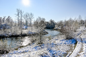 Reinach, Münchenstein, Birs, Fluss, Birstal, Baselland, Arlesheim, Wald, Waldweg, Auwald, Uferweg,...