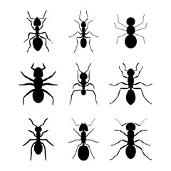 set of ants vector