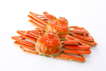 ボイルズワイガニ　白背景