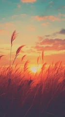 Wandaufkleber sunset over the field, background for instagram story, banner © Lucas