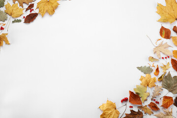 Dry autumn leaves and berries on white background, flat lay. Space for text