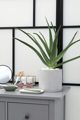 Beautiful potted aloe vera plant, cosmetic products and burning candles on chest of drawers indoors
