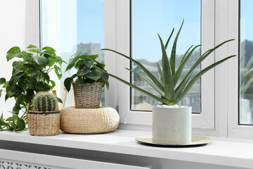 Beautiful potted aloe vera and other plants on windowsill indoors