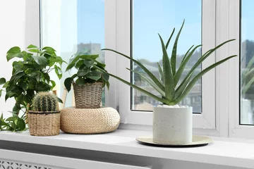 Poster Beautiful potted aloe vera and other plants on windowsill indoors © New Africa