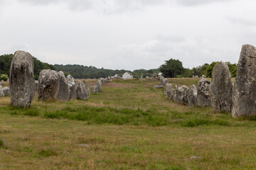 Naklejka premium alignment of menhirs in the morning