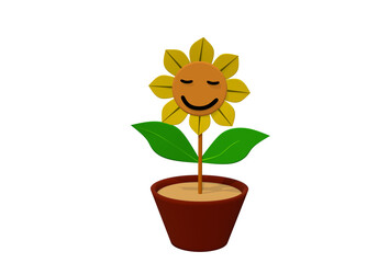 sunflower in a pot