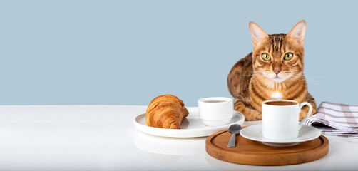 Cute cat near a plate with a croissant and a cup of coffee.